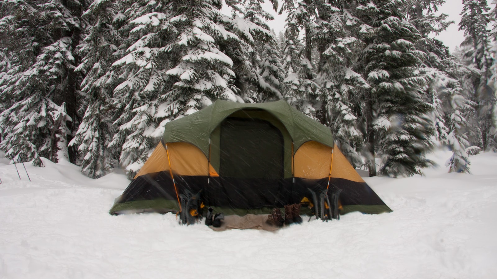 A small tent pitched on flat ground beside a calm lake in the evening.